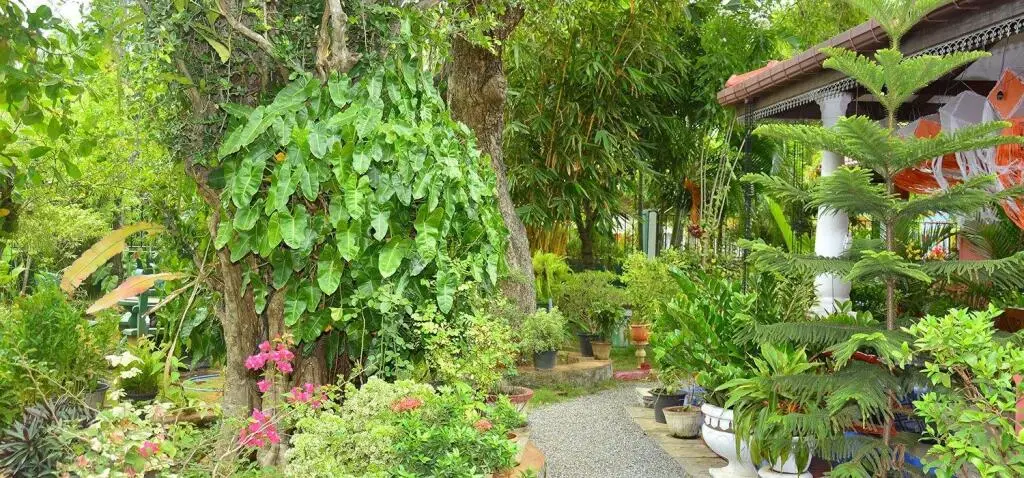 Хингуракгода: Living inn Polonnaruwa