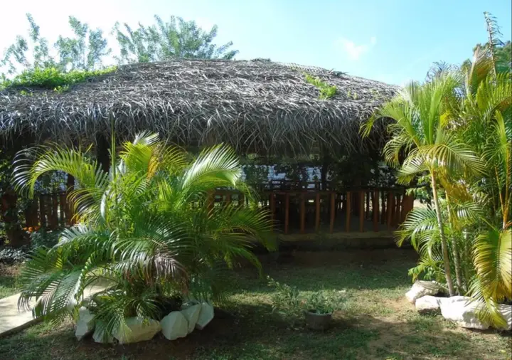Тиссамахарама: Lotus blue yala hotel & restaurant