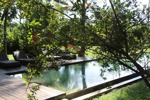 Отель Kaju Green Eco Lodges — фото 1