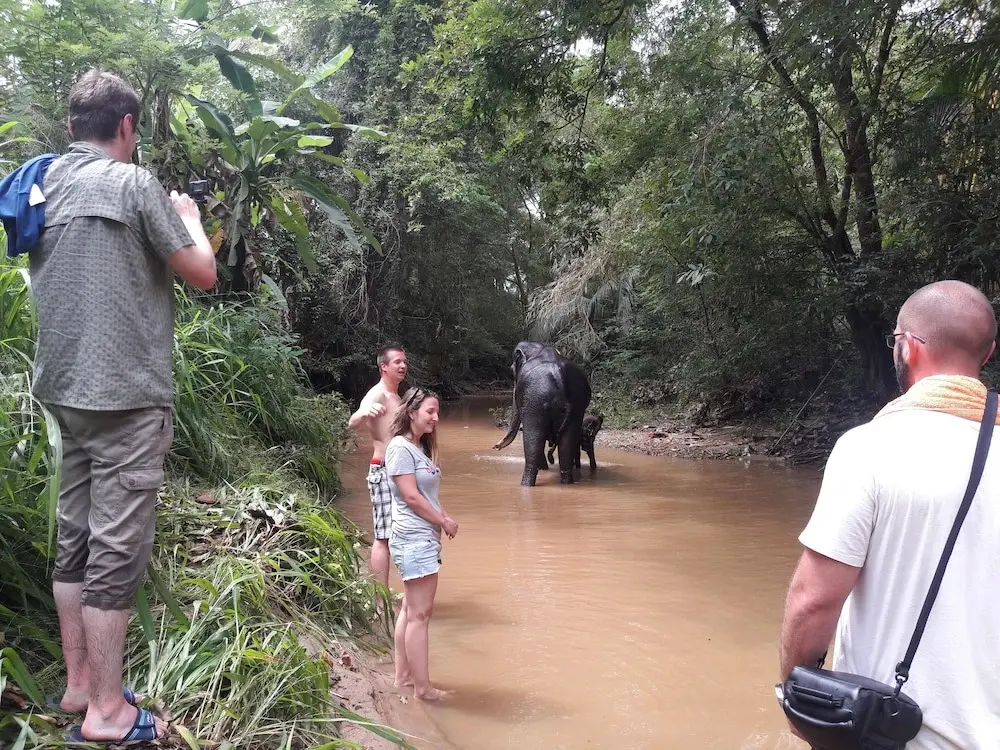 Тимболкетия: Eagle Safari Family Bungalow Udawalwe