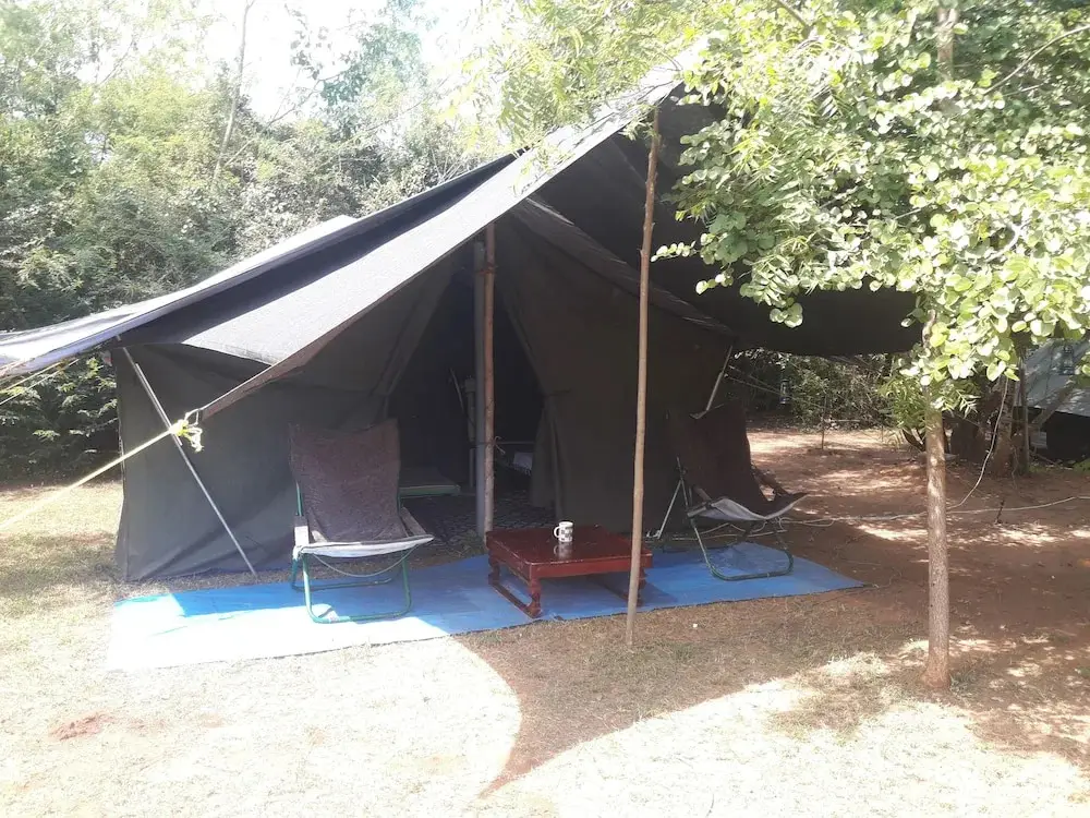 Катарагама: Dev's Campground