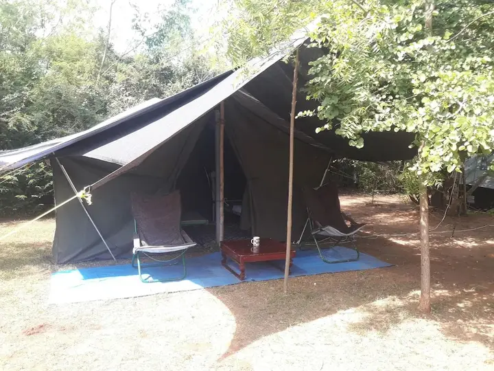 Катарагама: Dev's Campground