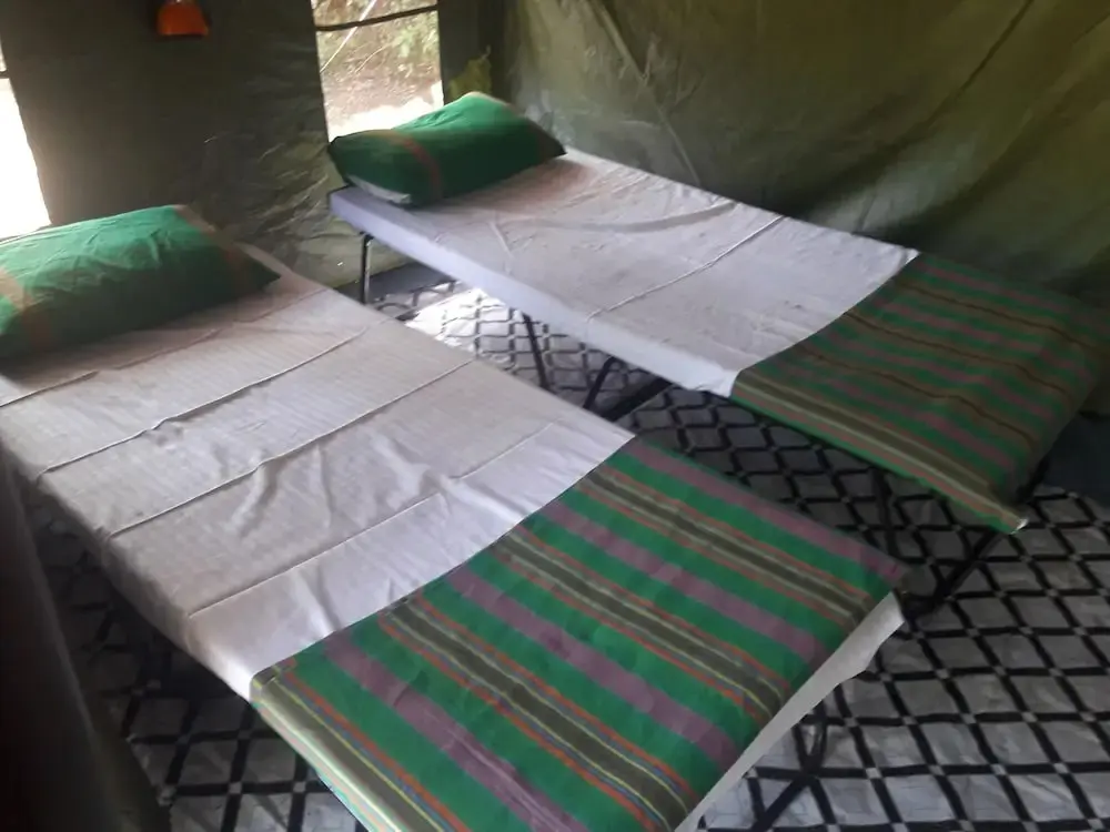 Катарагама: Dev's Campground