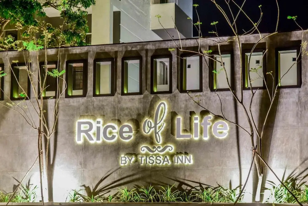 Rice of Life by Tissa Inn — фото 1