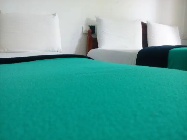 Элла: Walkers Nest