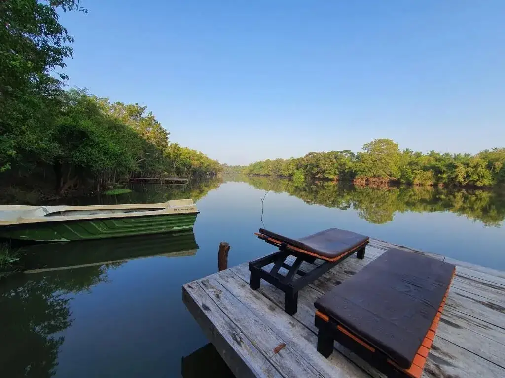 Элуванкулама: The Backwaters