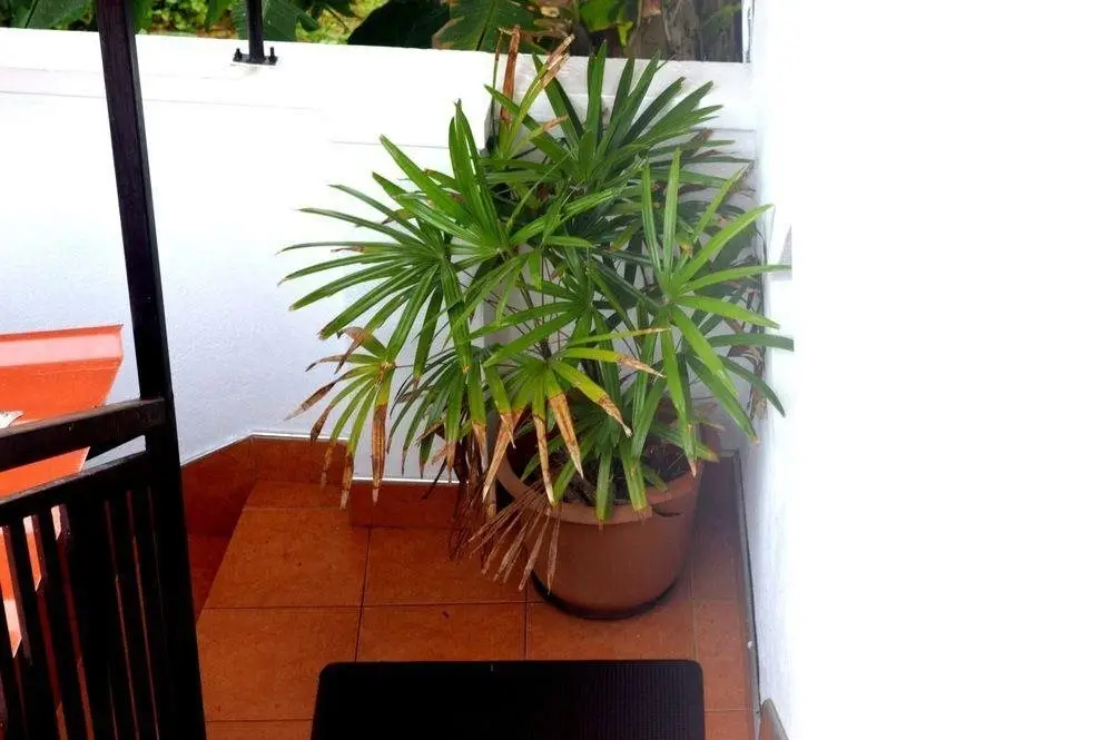 Патхуватта: Shyni Tourist Guesthouse