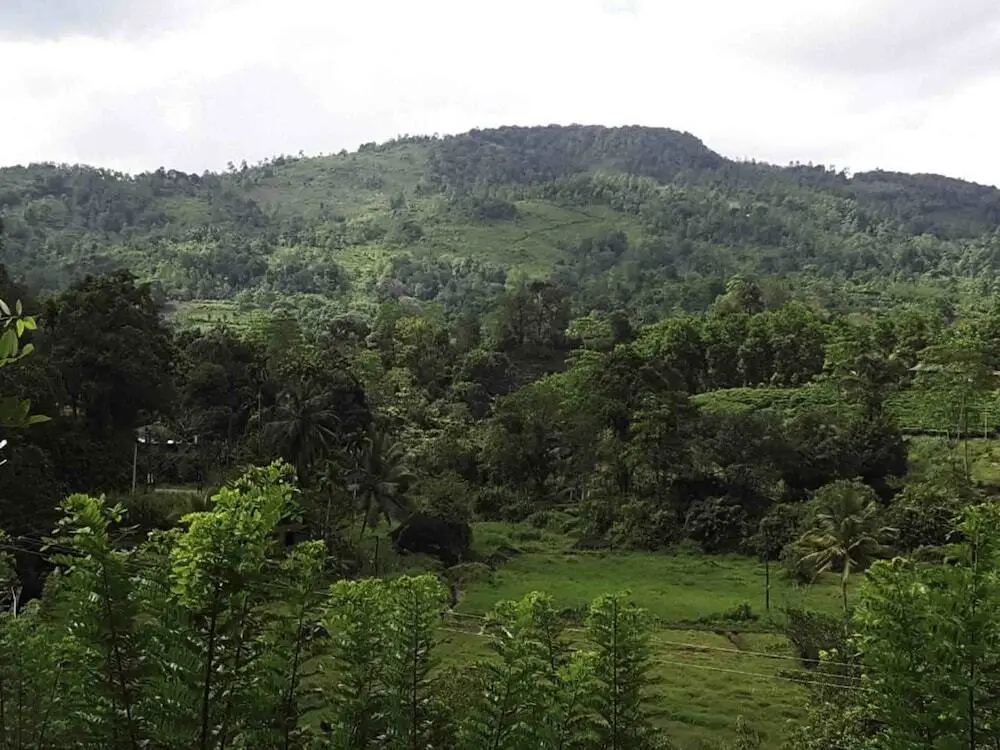 Ратнапура: Yoho Sinharaja Birders Lodge
