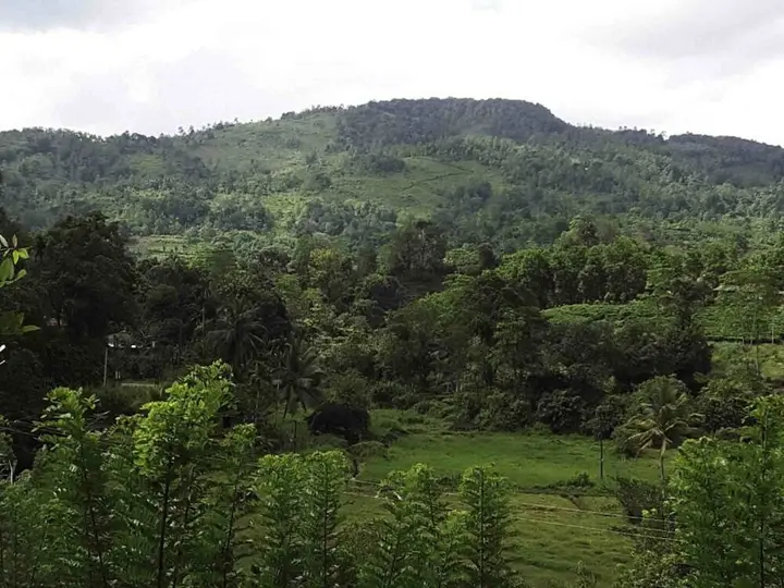 Ратнапура: Yoho Sinharaja Birders Lodge