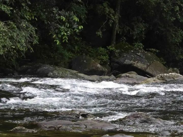 Ратнапура: Yoho Sinharaja Birders Lodge