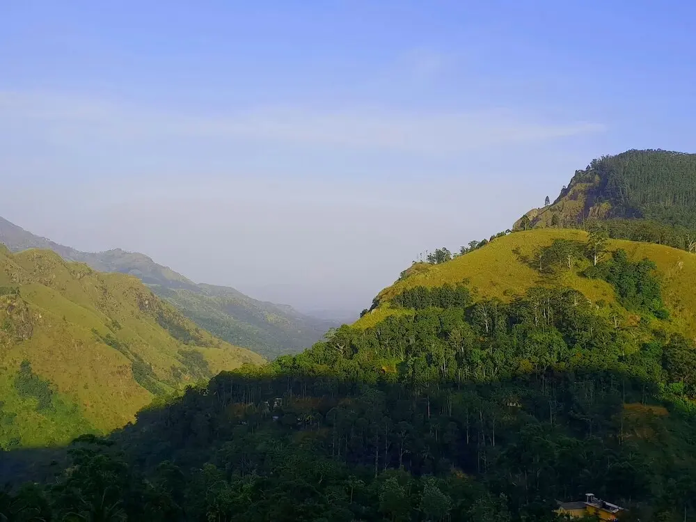 Элла: Adannz view