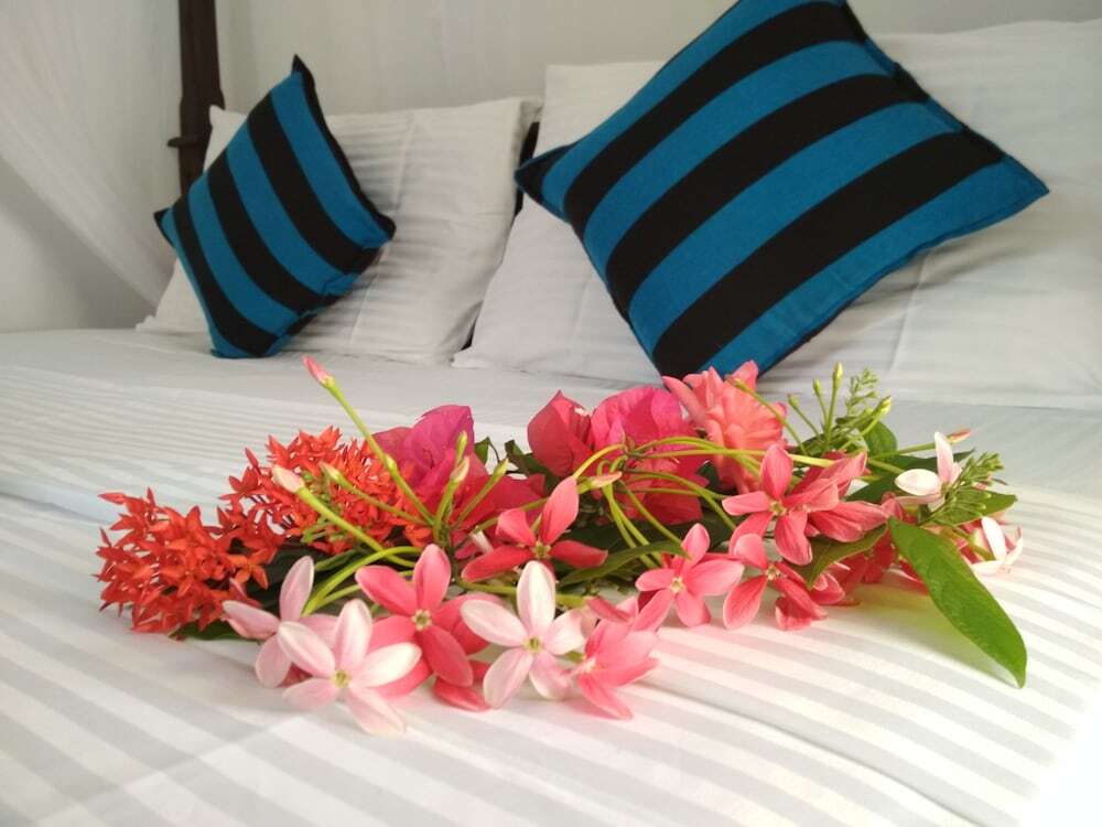 Сигирия: Sigiriya Danu homestay