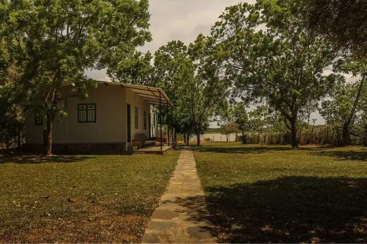 Виравила: Shaka Bungalow