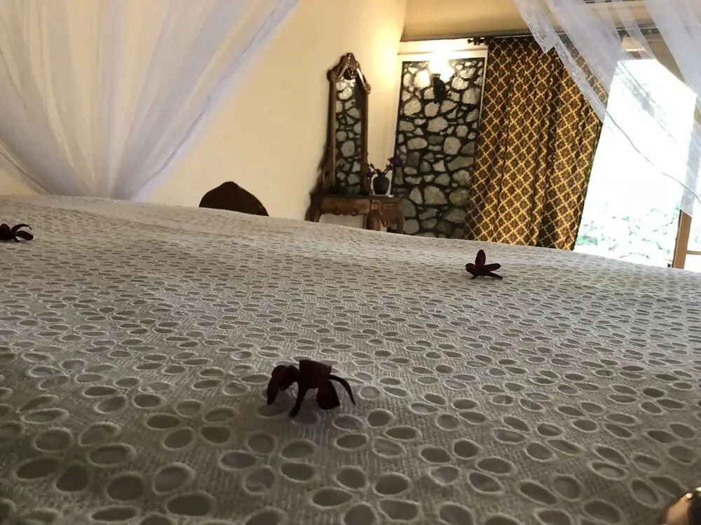 Удавалаве: Plumeria Luxury Villas