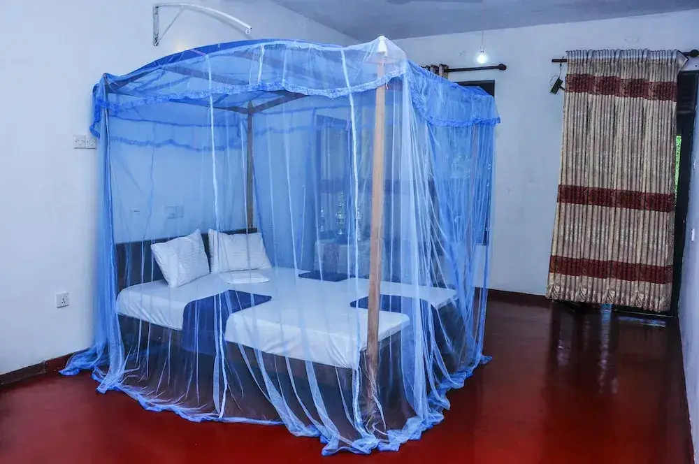 Диквелла: Tamasha Mango House