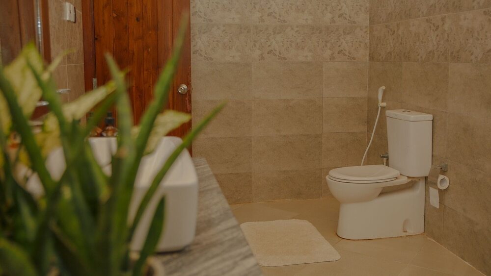 Анурадхапура: Silver Crown Nature Resort