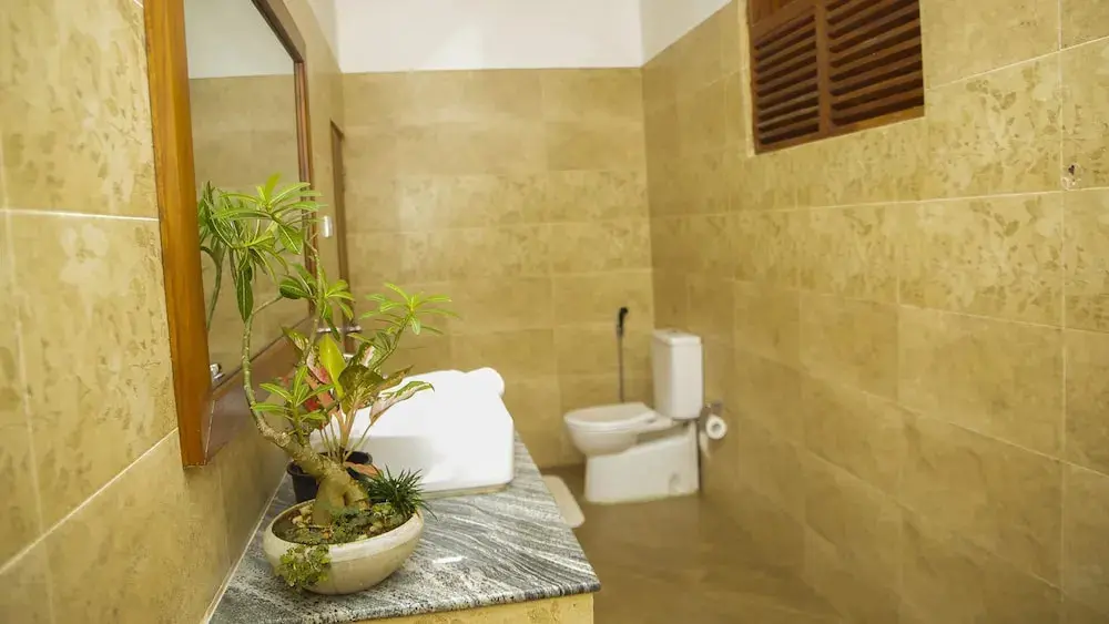Анурадхапура: Silver Crown Nature Resort