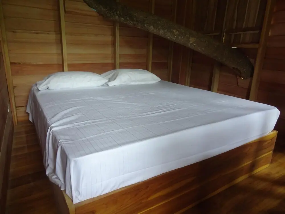 Анурадхапура: Wilpattu Tree House Hotel