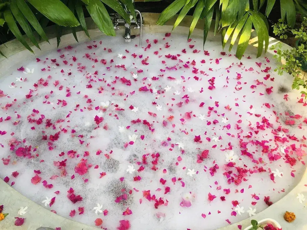 Удавалаве: Plumeria Luxury Villas Udawalawe