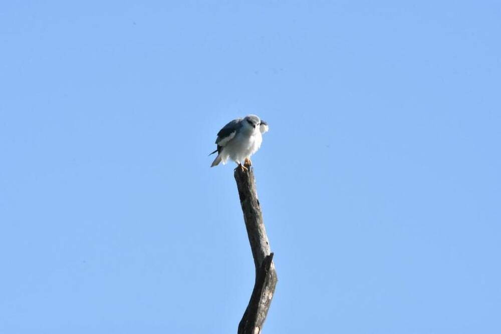 Малдения: Explorer by Eco Team - Maduru Oya National Park