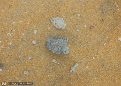 Пулянкуда: Sands Kalpitiya By GLN