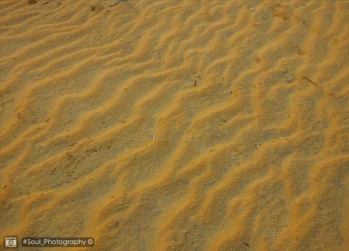 Пулянкуда: Sands Kalpitiya By GLN