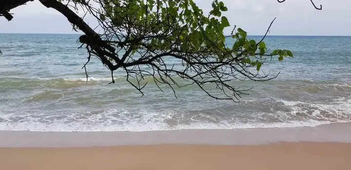 Тангалла: Blue Whale Beach Hotel