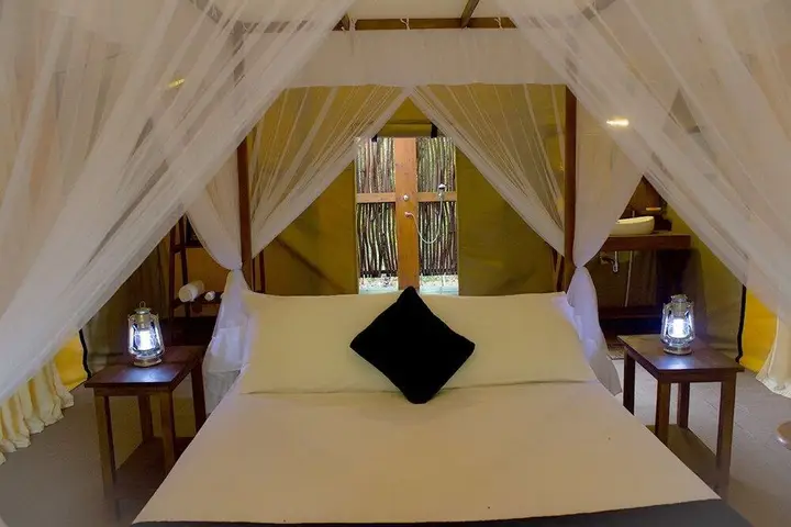 Палатупана: The Sanctuary Yala