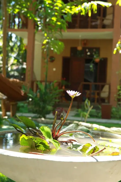 Хабарадува: Lime Cabanas Sri Lanka