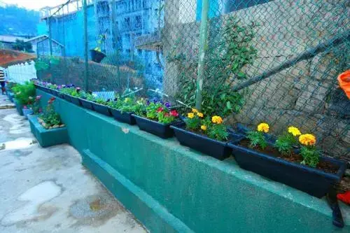 Нувара-Элия: Dahlia Mount View Hotel