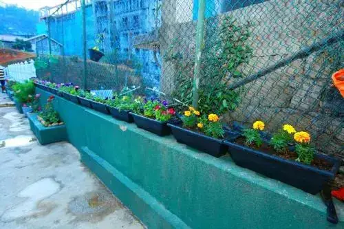 Нувара-Элия: Dahlia Mount View Hotel
