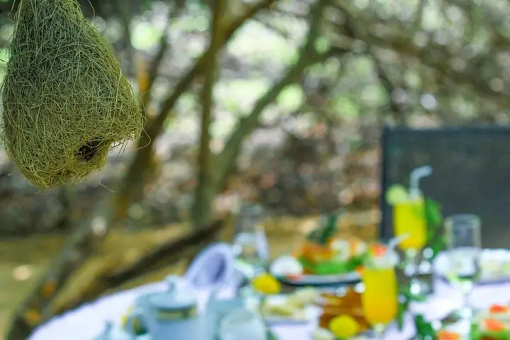 Катарагама: The Campers Lodge Luxury Camp Yala