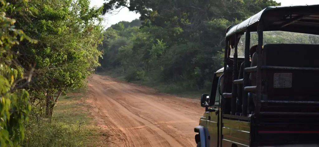 Палатупана: Jetwing Safari Camp - All Inclusive