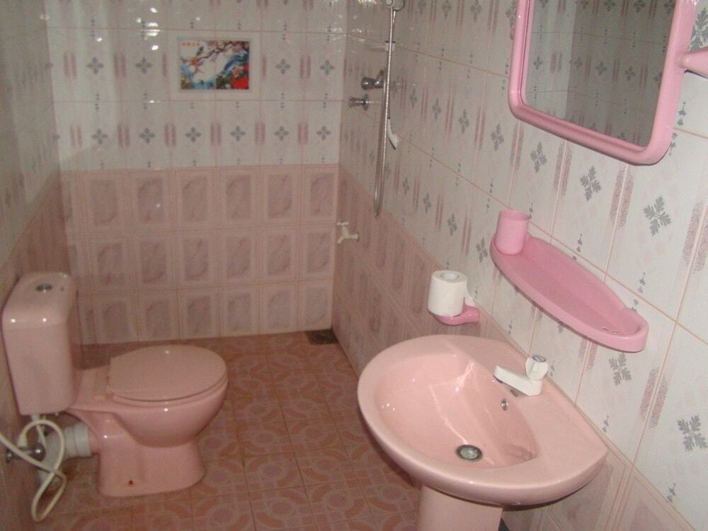 Анурадхапура: Bathi tourist Gyest