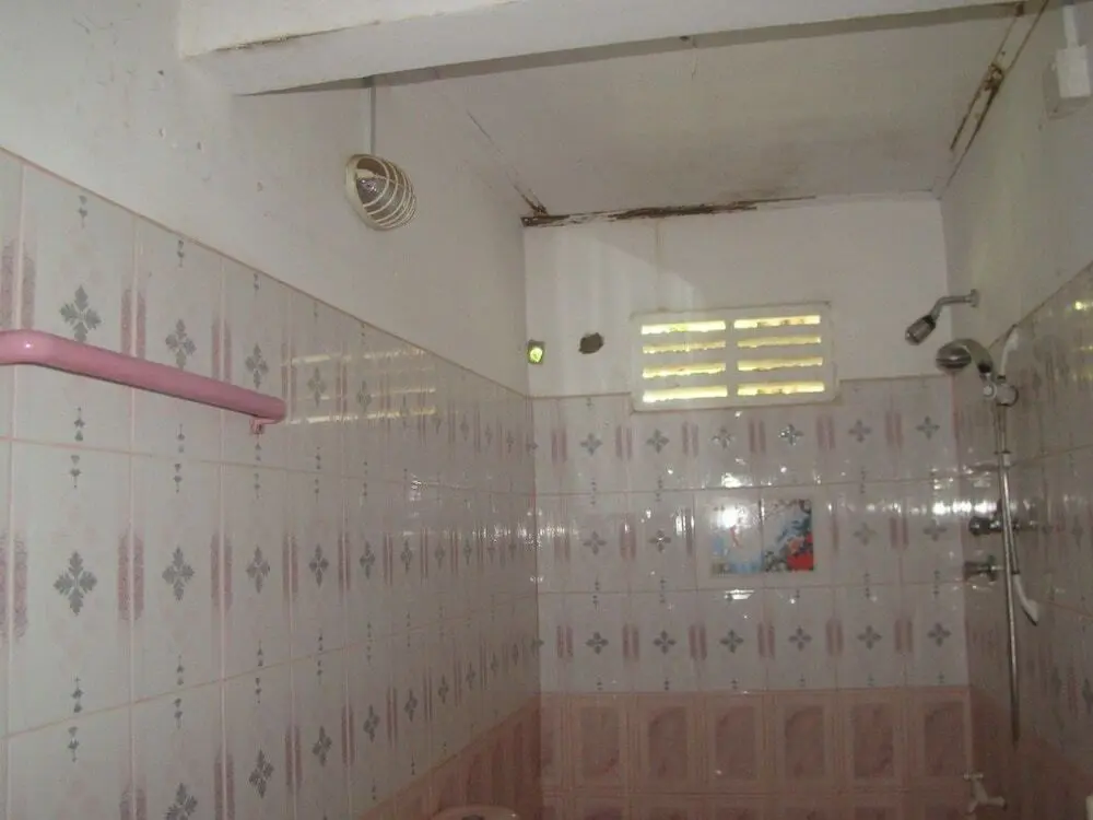 Анурадхапура: Bathi tourist Gyest