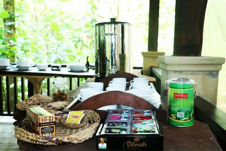 Ратнапура: Monsoon Adventure Park