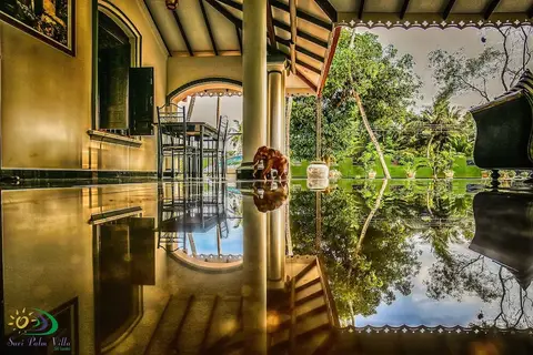 Suri Palm Villa — фото 1