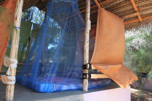 Аругам-Бэй: Safasurf Camp - Hostel