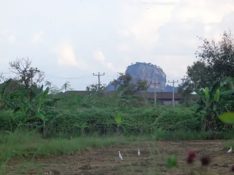 Sigiriya vista — фото 1