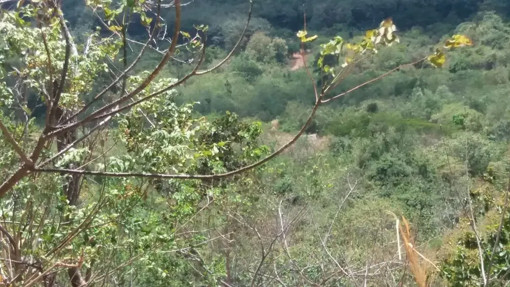 Мадавала ульпатха: Nalanda Relaxation And Caping Site