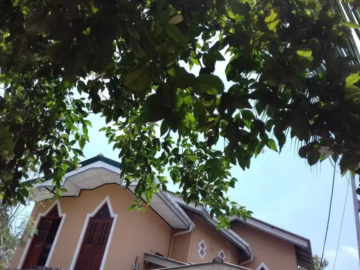 Галле: Galle Paradise Iinn