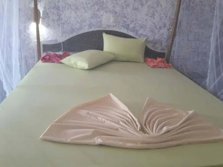 Патхуватта: villa crocodile beach