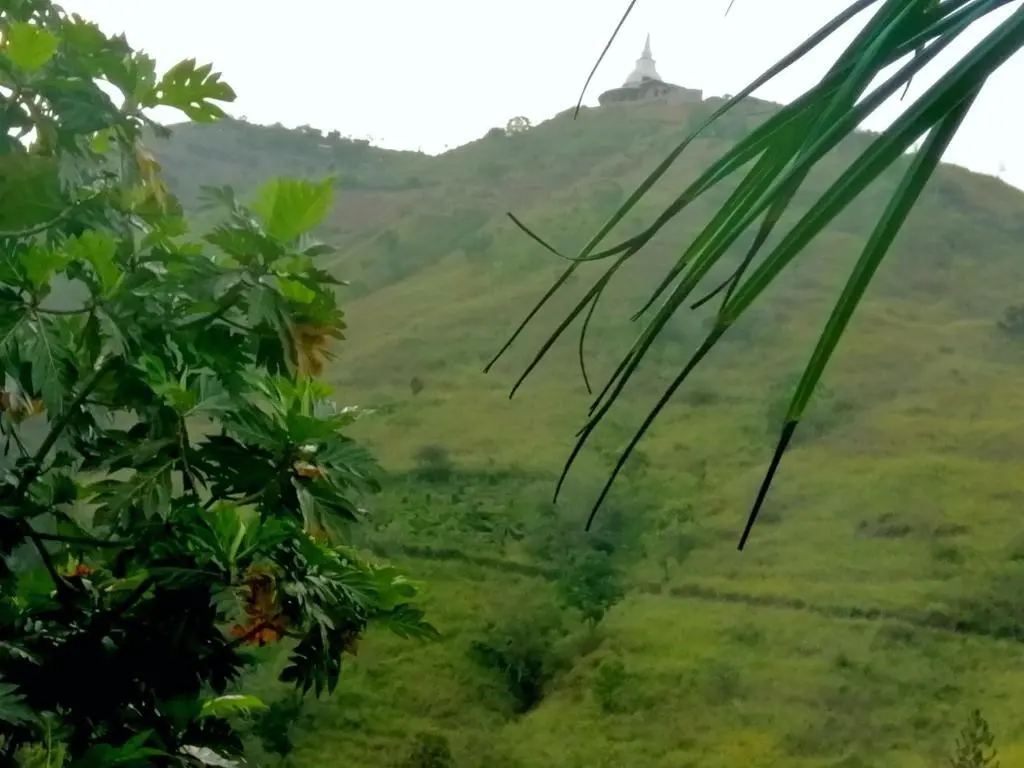 Элла: Yoho Jayamali Homestay