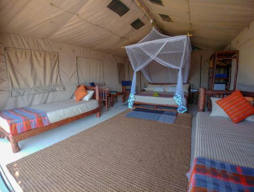 Палатупана: Back of Beyond Dune Camp - Yala