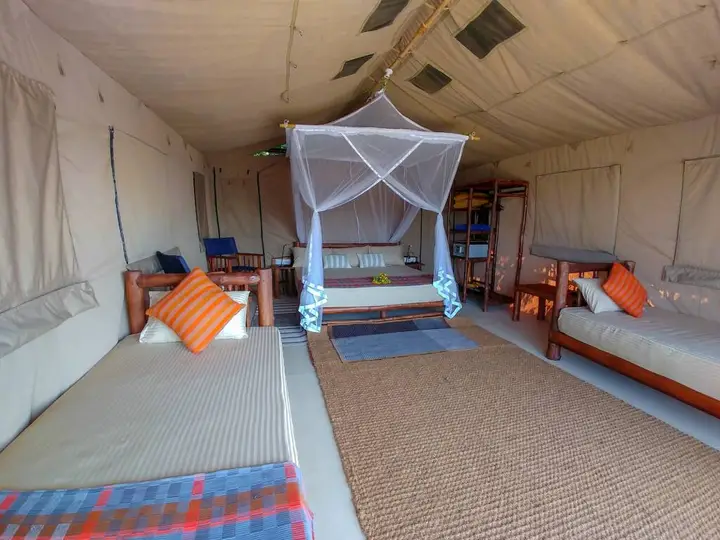 Палатупана: Back of Beyond Dune Camp - Yala