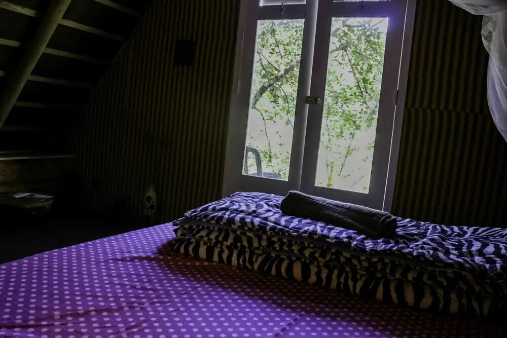 Элла: The Moksha Ella