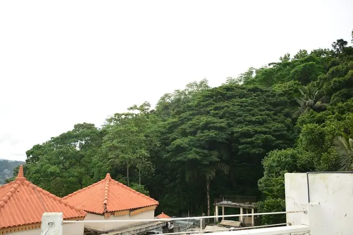 Канди: Kandy Kevin's Residence