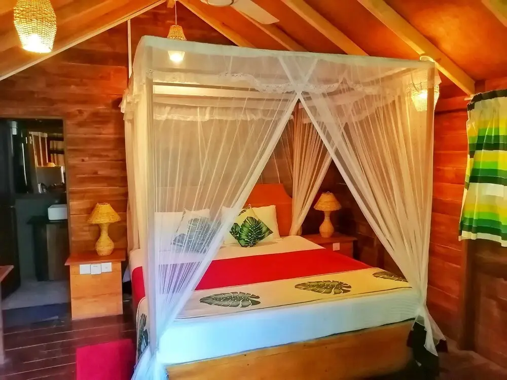 Поддана: 360 Rainforest
