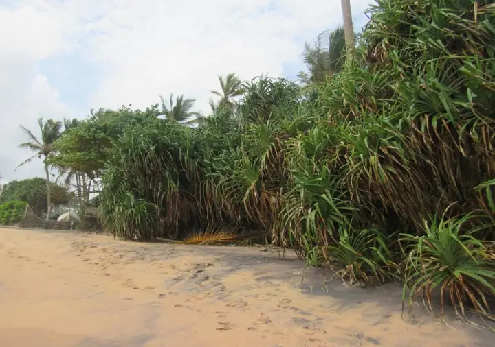 Ахунгалла: Leatherback Beach Villa
