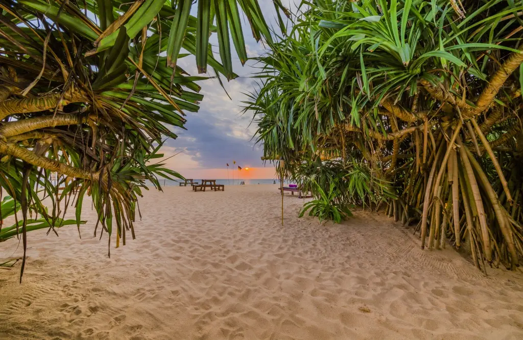 Ахунгалла: Отель Jungle Beach Camp Ahungalla